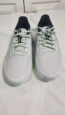 Nike Air Zoom Infinity Tour Next% Golf Shoes Photon Dust Emerald Rise DM8446-001